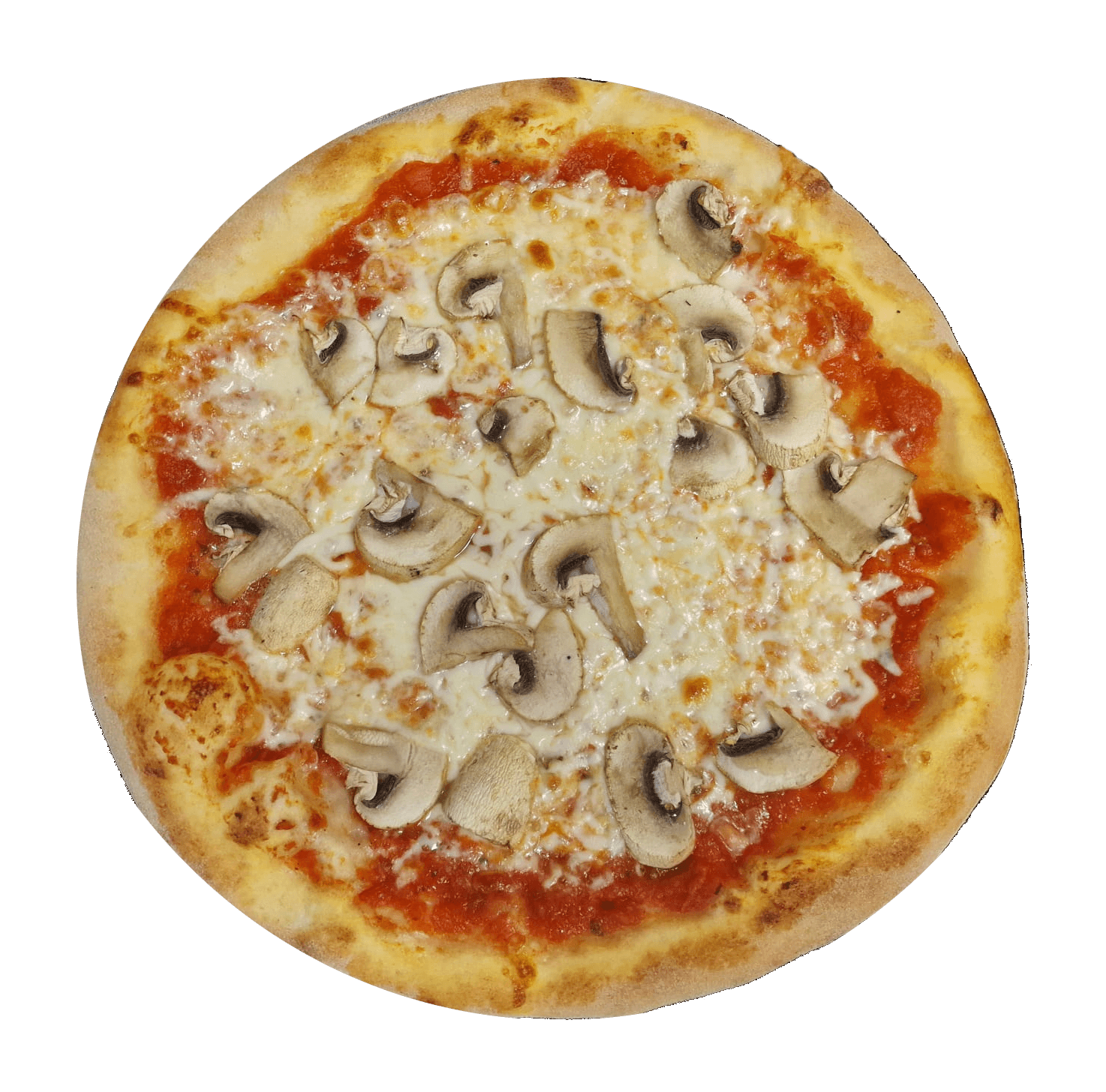 Funghi